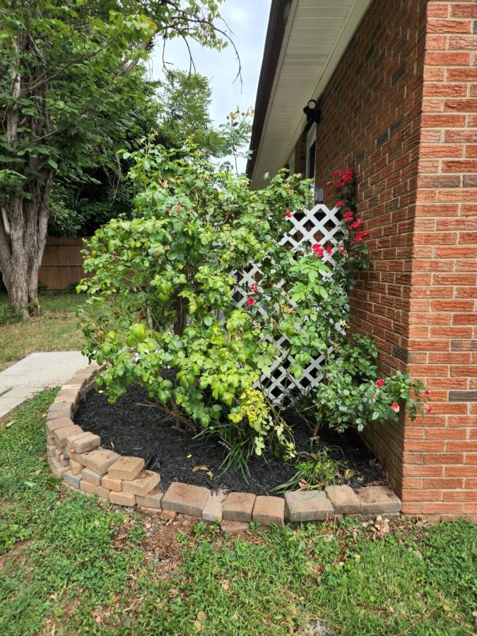 2Br 1Ba Duplex House King Beds Great For Small Groups Close To All Uptown Charlotte Attractions Buitenkant foto